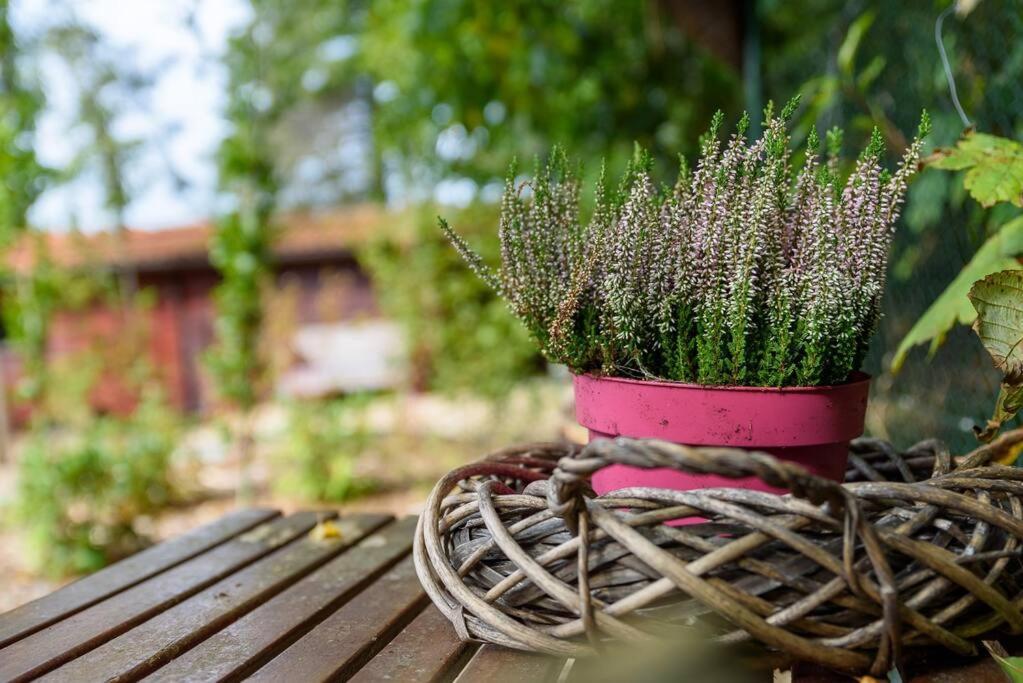 Spacious Wooden Cottage With Infra-Red Sauna At Veluwe Путен Екстериор снимка